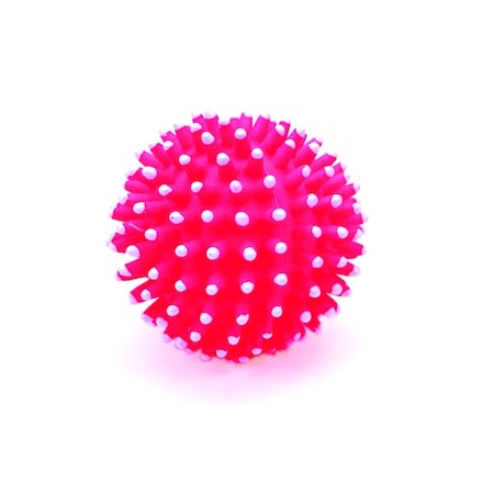 Coastal Pet Rascals Vinyl Spiny Ball 3" 2593